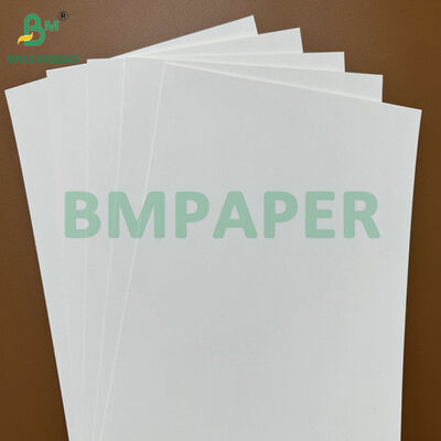 200gsm φιλικό προς το περιβάλλον Ακατέργαστο απορροφητικό σουβέρ, Βάση στυπόχαρτο για Beer Mat & Cup Mat Manufacturing